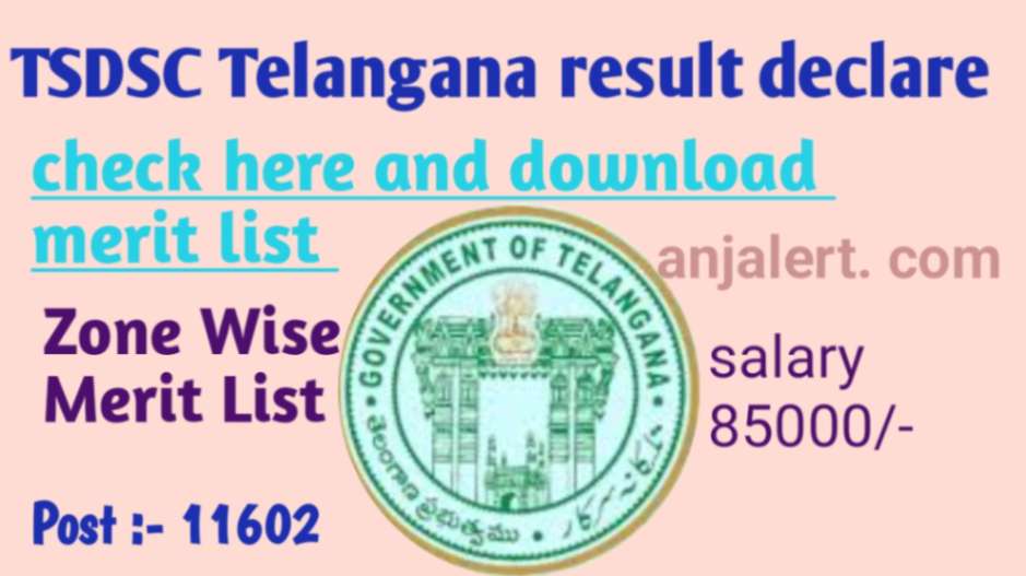 TS DSC Result 2024